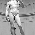 Michelangelo David Marble Statue, Accademia Gallery, Florence, Italy Photograph by Kathy Anselmo Michelangelo David Marble Statue, Accademia Gallery, Florence, Italy Photograph by Kathy Anselmo