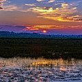 Dawn Breaking Over Saint Marks Photograph by DB Hayes Dawn Breaking Over Saint Marks Photograph by DB Hayes
