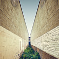 Dead End Alley by Scott Norris Dead End Alley by Scott Norris