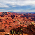 Dead Horse State Park Utah Photograph by Tim Kathka