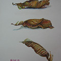 Death Leaf Walking Painting by Sukalya Chearanantana Death Leaf Walking Painting by Sukalya Chearanantana