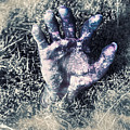 Decaying Zombie Hand Emerging From Ground by Jorgo Photography - Wall Art Gallery Decaying Zombie Hand Emerging From Ground by Jorgo Photography - Wall Art Gallery