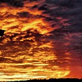 December Austin Sunset Painting by Layne William LoMaglio December Austin Sunset Painting by Layne William LoMaglio