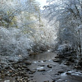 December Photograph by Mike Eingle December Photograph by Mike Eingle