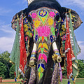 Decorated Indian Elephant Round Beach Towel by Michele Burgess - Pixels