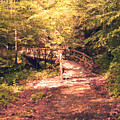 The Enchanted Bridge Photograph by Stacie Siemsen The Enchanted Bridge Photograph by Stacie Siemsen