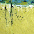 Deep Roots by Ruth Palmer Deep Roots by Ruth Palmer