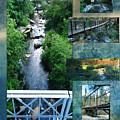 Deer Creek Bridges Digital Art by Lisa Redfern Deer Creek Bridges Digital Art by Lisa Redfern