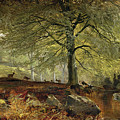 Deer In A Wood by Joseph Adam Deer In A Wood by Joseph Adam