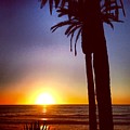 Del Mar Days Photograph by Denise Railey Del Mar Days Photograph by Denise Railey