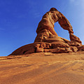 Delicate Perspective by Chad Dutson Delicate Perspective by Chad Dutson