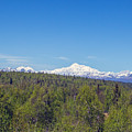 Denali  by Allan Levin