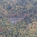 Dense Woods Photograph by Allen Nice-Webb Dense Woods Photograph by Allen Nice-Webb