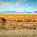 Desert Amber Waves Digital Art by Joe Lach