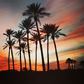 Desert Palms Sunset Photograph by Vic Ritchey Desert Palms Sunset Photograph by Vic Ritchey