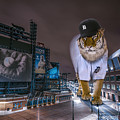 Detroit Tigers at Comerica Park by Nicholas Grunas Detroit Tigers at Comerica Park by Nicholas Grunas