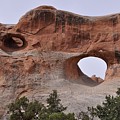 Devils Garden by Frank Madia Devils Garden by Frank Madia