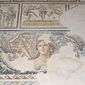 Dionysus Mosaic Mona Lisa Of The Galilee by Ilan Rosen Dionysus Mosaic Mona Lisa Of The Galilee by Ilan Rosen