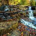 Dismal Creek Falls Horizontal Photograph by Joe Shrader Dismal Creek Falls Horizontal Photograph by Joe Shrader