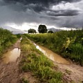 Distant Thunder Paint Photograph by David Dehner Distant Thunder Paint Photograph by David Dehner