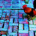 Dixie Chicken by Debbi Granruth Dixie Chicken by Debbi Granruth