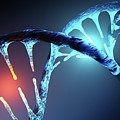 DNA strand Photograph by Johan Swanepoel DNA strand Photograph by Johan Swanepoel
