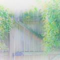 Do I want to Leave the Garden Photograph by Merle Grenz Do I want to Leave the Garden Photograph by Merle Grenz