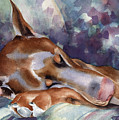 Doberman Pinscher Sleeping Painting by David Rogers Doberman Pinscher Sleeping Painting by David Rogers