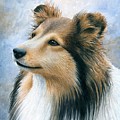 Dog 122 Painting by Lucie Dumas Dog 122 Painting by Lucie Dumas