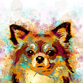 Dog 141 Digital Art by Lucie Dumas Dog 141 Digital Art by Lucie Dumas