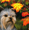 Dog 78 Yorkshire Painting by Lucie Dumas Dog 78 Yorkshire Painting by Lucie Dumas