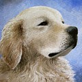 Dog 98 Painting by Lucie Dumas Dog 98 Painting by Lucie Dumas
