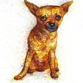 Dog painting by Natalja Picugina Dog painting by Natalja Picugina