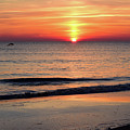 Dolphin Jumping in the Sunrise Photograph by Nicole Lloyd Dolphin Jumping in the Sunrise Photograph by Nicole Lloyd