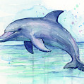 Dolphin Watercolor Painting by Olga Shvartsur Dolphin Watercolor Painting by Olga Shvartsur