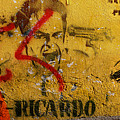 Don-Ricardo by Skip Hunt Don-Ricardo by Skip Hunt