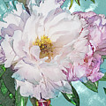 Double Peony Digital Art by Mark Mille Double Peony Digital Art by Mark Mille
