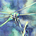 Dragonfly II by Ryan Fox Dragonfly II by Ryan Fox