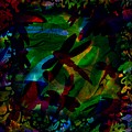 Dragonfly by William Russell Nowicki Dragonfly by William Russell Nowicki