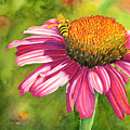 Drawn In Painting by Lori Taylor Drawn In Painting by Lori Taylor