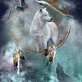Dream Catcher - Spirit Of The White Wolf Mixed Media by Carol Cavalaris Dream Catcher - Spirit Of The White Wolf Mixed Media by Carol Cavalaris