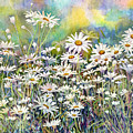 Dreaming Daisies Painting by Hailey E Herrera Dreaming Daisies Painting by Hailey E Herrera