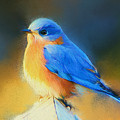 Dressed In Blue Painting by Tina LeCour Dressed In Blue Painting by Tina LeCour