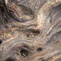 Driftwood and Stone Photograph by Valerie Collins Driftwood and Stone Photograph by Valerie Collins