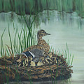 Ducks in Lifting Fog by Sheri Jo Posselt
