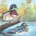 Wood Ducks Painting by ML McCormick Wood Ducks Painting by ML McCormick