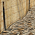 Dune Art Photograph by Rich S Dune Art Photograph by Rich S