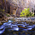 Dynamic Zion by Chad Dutson