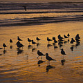 Eager Anticipation by Andrei Shliakhau Eager Anticipation by Andrei Shliakhau