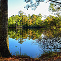 Early Fall Reflections Photograph by Nicole Lloyd Early Fall Reflections Photograph by Nicole Lloyd